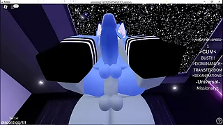 Roblox una buena vista de sus pollas furros